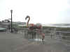 Flamingo Sculpture on the boardwalk
