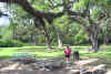 Picture of Gloria checking out the picnic area on Avery Island
