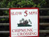 Chipmunk crossing sign