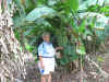 Gloria checking out bananas growing
